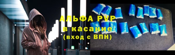ECSTASY Белокуриха