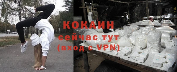 мдпв Богородицк