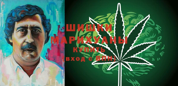 ECSTASY Белокуриха